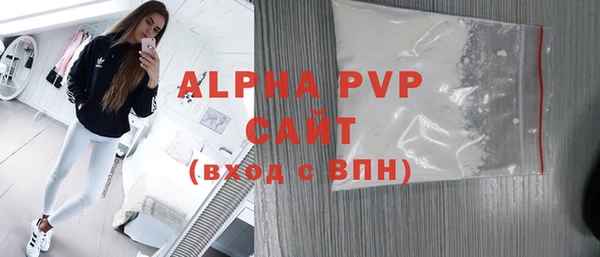 стафф Алексин