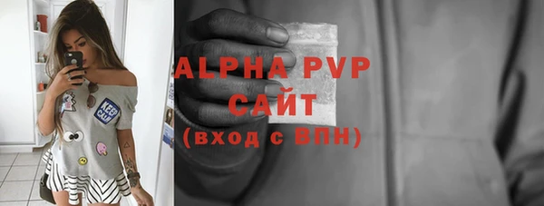 стафф Алексин