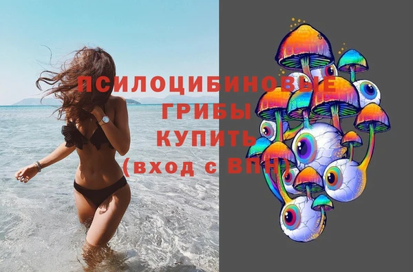 индика Алзамай