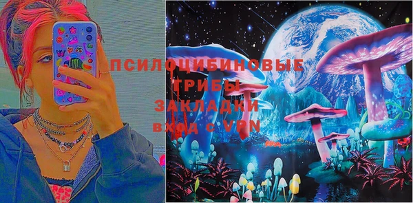 индика Алзамай