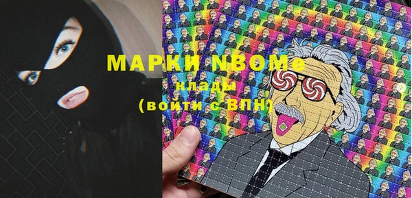 индика Алзамай