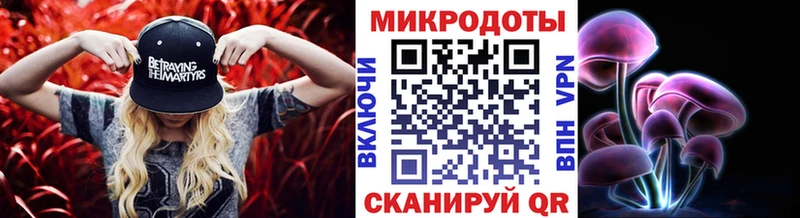 дарк нет официальный сайт  Грязовец  Псилоцибиновые грибы Cubensis  закладки 